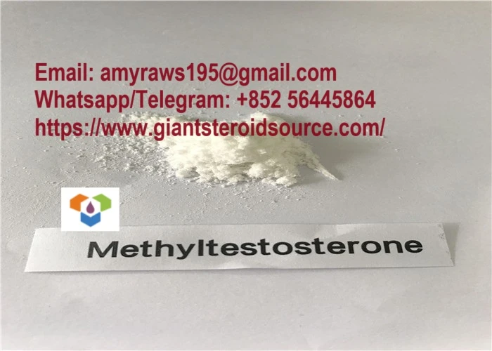 Kwalità Għolja Sterojdi Trab Nej Methyltestosterone Trab Whilte Trab Tkabbir Muskolari