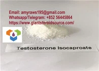 Fornitur tat-Trab Sterojdi Isocaproate ta' Testosterone Nej 15262-86-9