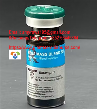 Mega Mass Blend 500 STADA